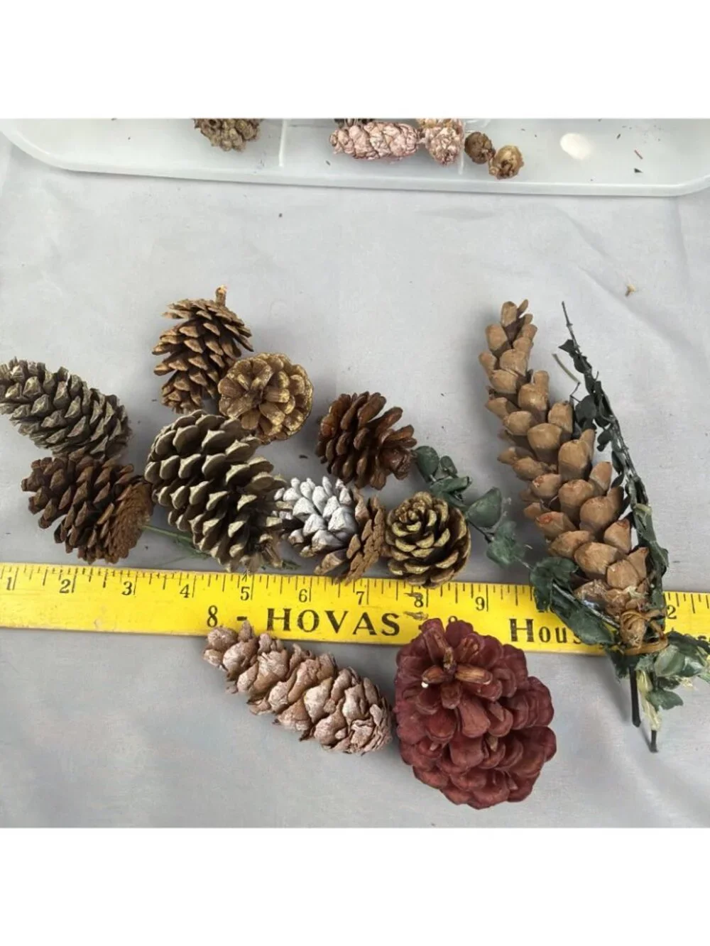 Huge Mix Lot Pinecone Sweet Gum Pods Home Decor Crafts Floral Design